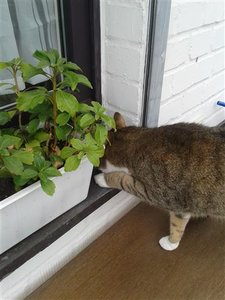 20130423_145102 (Klein).jpg