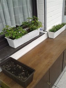 20130423_150609 (Klein).jpg