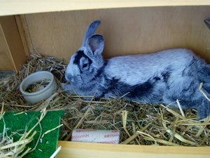 100_3214 (800x600).jpg