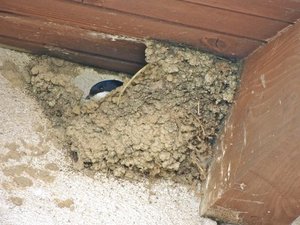 14241820yb.jpg 14241820yb.jpg