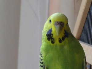 vor dem Besuch beim VKT.JPG