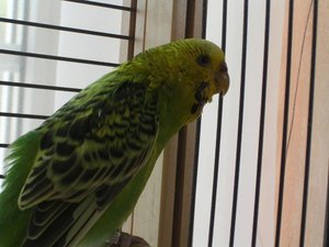 nach der Behandlung beim VKT.JPG