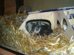 Bild 027 - Kopie.jpg Bild 027 - Kopie.jpg