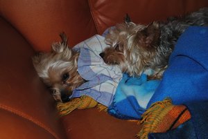 DSC_0282 - Kopie.JPG DSC_0282 - Kopie.JPG