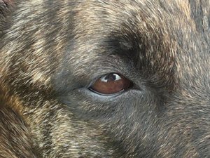 attachment.jpeg attachment.jpeg