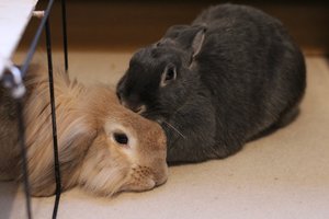 IMG_0003 - Kopie.JPG