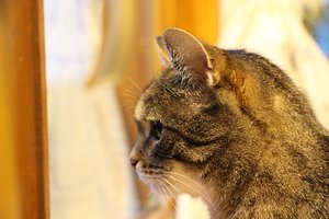 IMG_0087 - Kopie.JPG