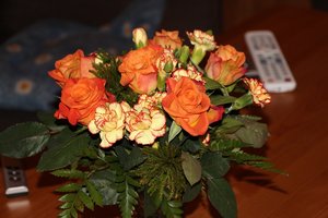 IMG_0100 - Kopie.JPG