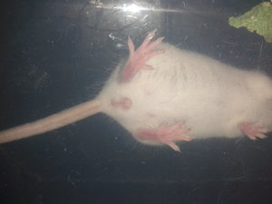 20130502_173405.jpg 20130502_173405.jpg