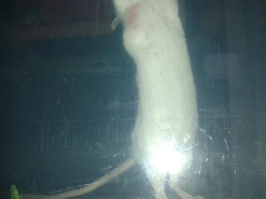 20130502_173417.jpg 20130502_173417.jpg