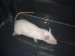 20130502_173439.jpg 20130502_173439.jpg