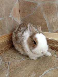 IMG_0709 (Klein).JPG