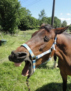 DSC09386_Bildgröße ändern.JPG