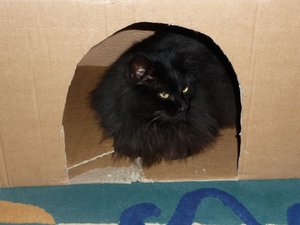 wiesenager.jpg wiesenager.jpg