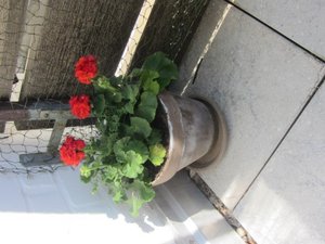 Balkon 04.05.2013 1 (Mobile).JPG