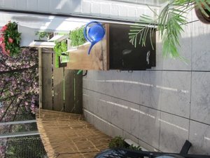 IMG_0086 (Mobile).JPG