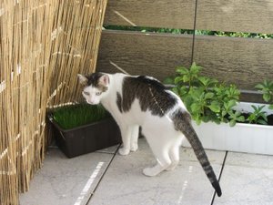 IMG_0095 (Mobile).JPG