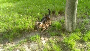 DSC_0241.JPG DSC_0241.JPG