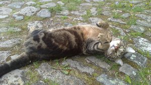 DSC_0260.JPG DSC_0260.JPG