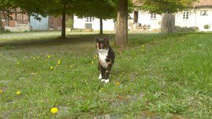 DSC_0267.JPG DSC_0267.JPG