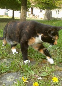 DSC_0269.JPG DSC_0269.JPG