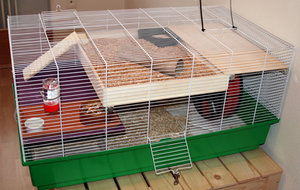 Hamsterkäfig.jpg