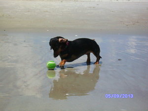 SANY1810.JPG SANY1810.JPG