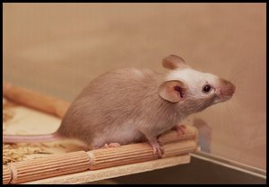 bounty_2_by_kainehillphotography-d5ps5ey.jpg bounty_2_by_kainehillphotography-d5ps5ey.jpg