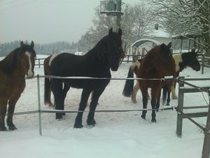 WP_002102.jpg WP_002102.jpg