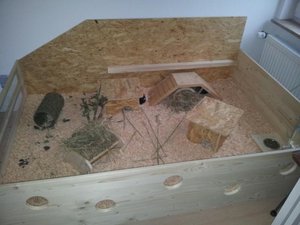 K800_20130519_174308.JPG K800_20130519_174308.JPG