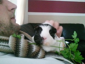 20130421_135827 (640x480).jpg 20130421_135827 (640x480).jpg