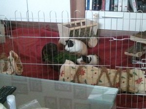 20130427_180658 (640x480).jpg