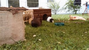 PHOTO_20130509_151303 (640x360).jpg PHOTO_20130509_151303 (640x360).jpg