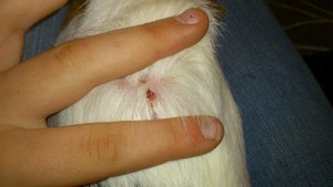 DSC_2382 (640x360).jpg