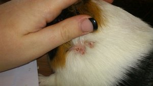 DSC_2386 (640x360).jpg