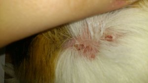 DSC_2387 (640x360).jpg