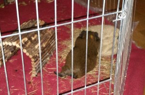 IMG_20130522_201046-1590094595.JPG IMG_20130522_201046-1590094595.JPG