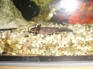 CIMG1200 (640x480).jpg