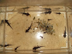 CIMG1210 (640x480).jpg