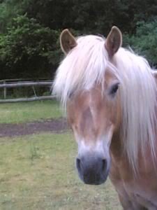 14nol0o.jpeg 14nol0o.jpeg