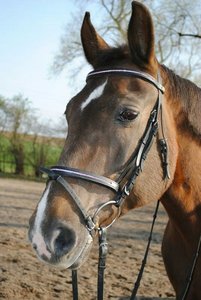 IMG-20130422-WA0019.jpg IMG-20130422-WA0019.jpg