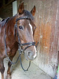 DSC07428.JPG DSC07428.JPG