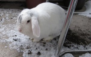 IMG_4051.JPG IMG_4051.JPG