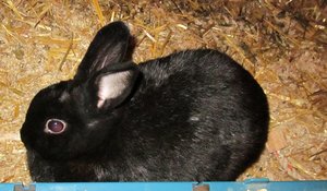 IMG_0049.JPG IMG_0049.JPG