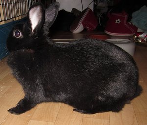 IMG_1344.JPG IMG_1344.JPG