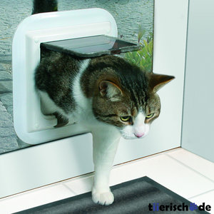 3863_a.jpg 3863_a.jpg