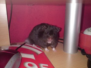 DSC00639 (640x480).jpg