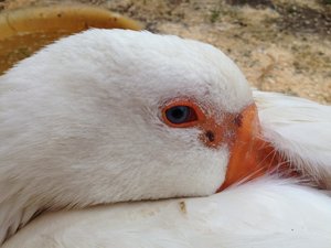 IMG_0629.jpg IMG_0629.jpg