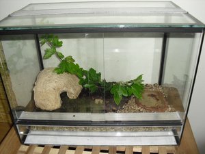 CIMG1216 (640x480).jpg