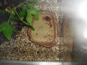 CIMG1218 (640x480).jpg